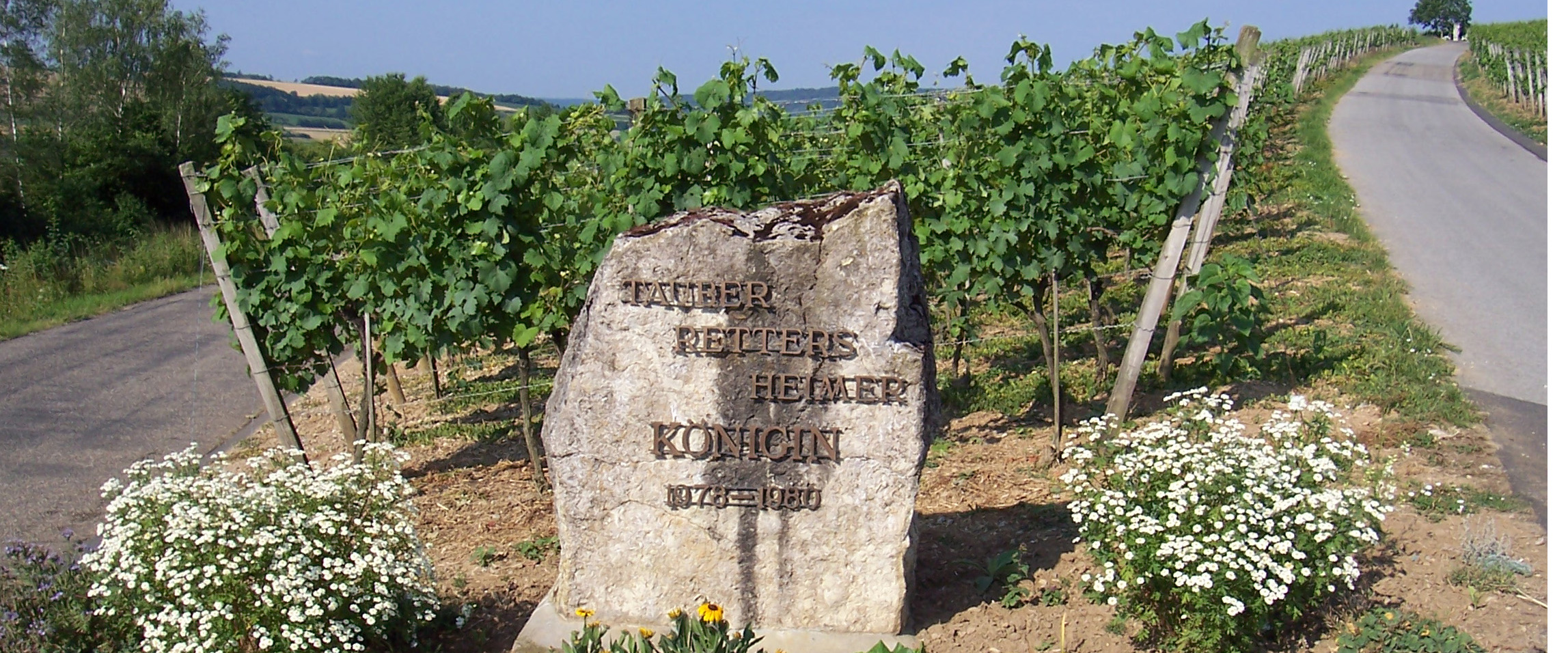 Weinbau in Tauberrettersheim